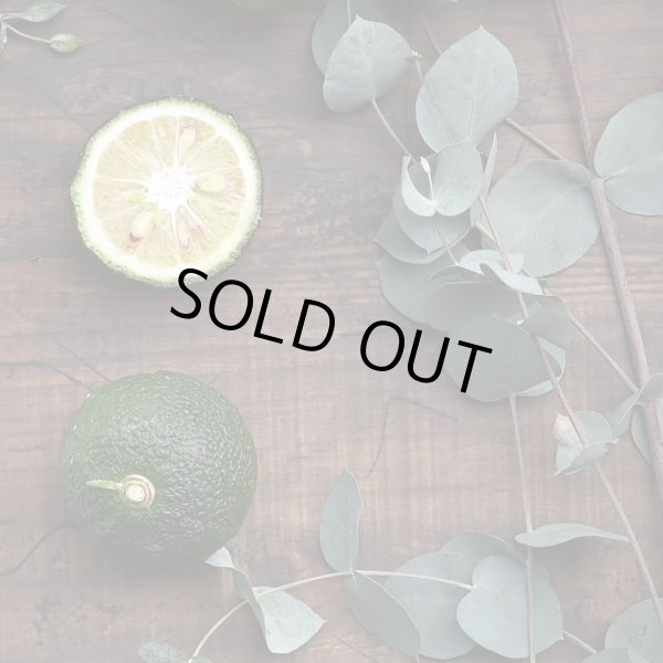 Photo6: Hime-Kagura Moisture Hand Cream 50g Yuzu (6)